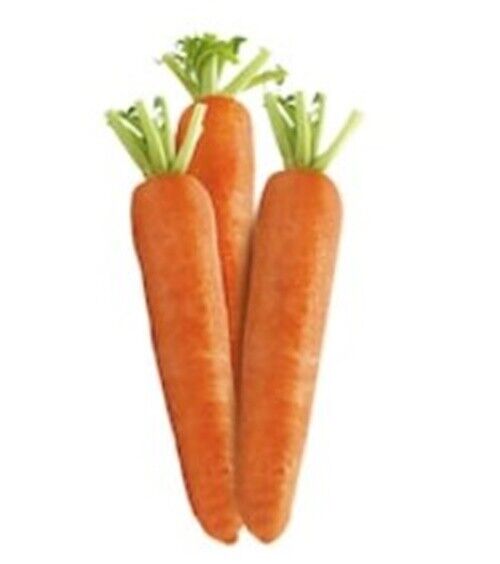 12x60g JerHigh Carrot Stick Dog Puppy Snack Treats Food Vitamin Eye Vision DHL