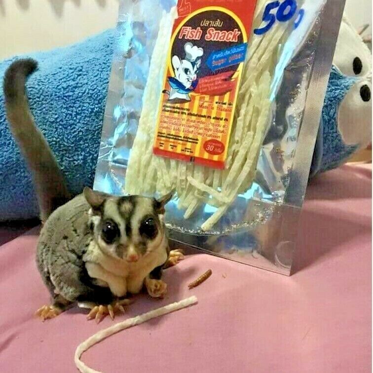 120g Paradise Pet Fish Protein Snack Hamster Sugar Glider Animal Teeth Care