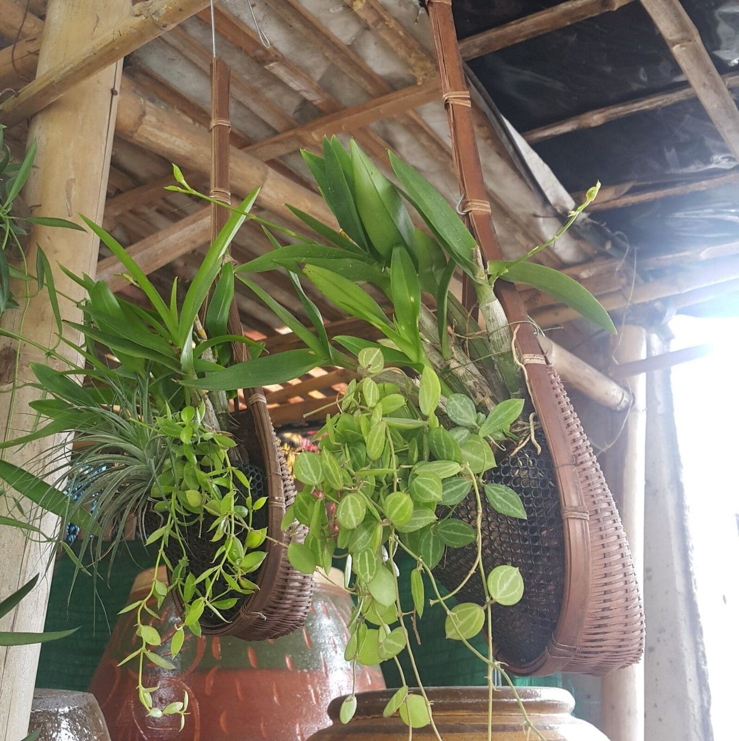 Woven Basket Planter Home Decor Orchid Flower Hanging Plant Pot Bamboo Garden