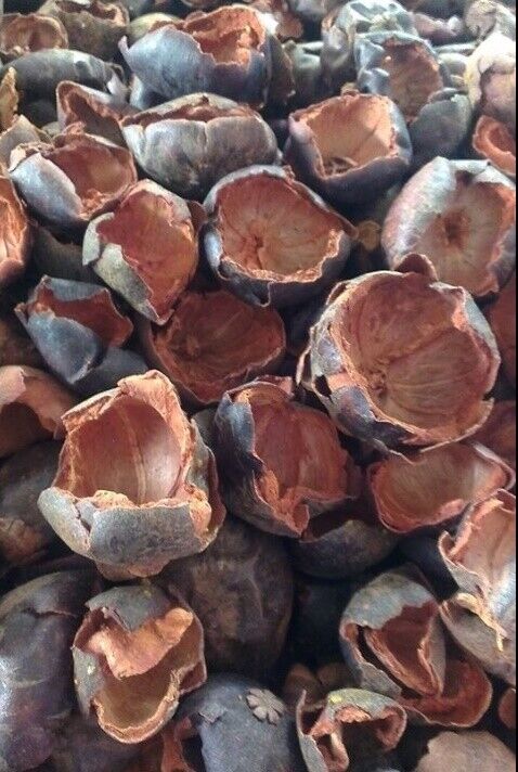 1000g Mangosteen Rind Peel Powder Herbal Thai Organic Tea Great Reduce body Heat