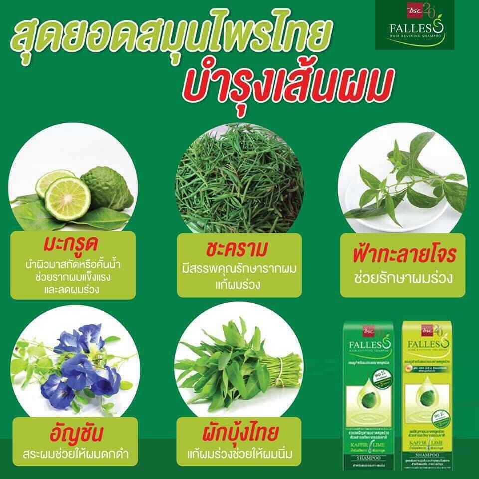 12x BSC Falles Reviving Shampoo Kaffir Lime Hair Loss Prevention Extra Soft DHL