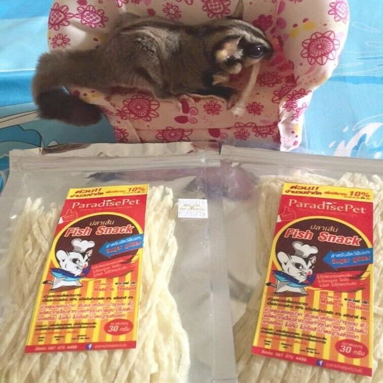 120g Paradise Pet Fish Protein Snack Hamster Sugar Glider Animal Teeth Care