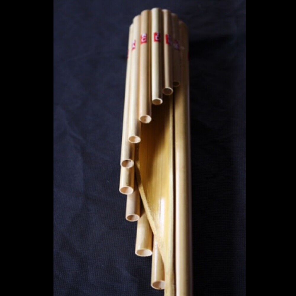 Wote Thai Bamboo Instrument Musical Panpipe Handmade Flute Isan Key Gm Free Book