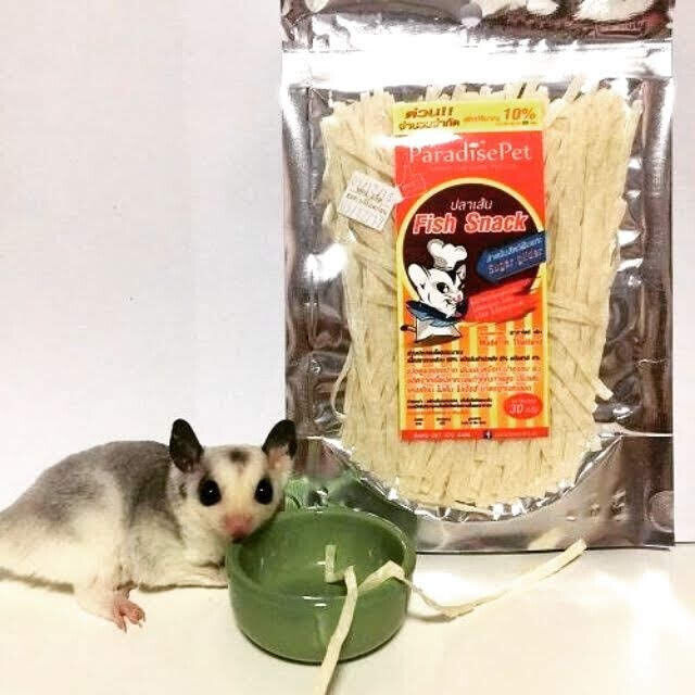 120g Paradise Pet Fish Protein Snack Hamster Sugar Glider Animal Teeth Care