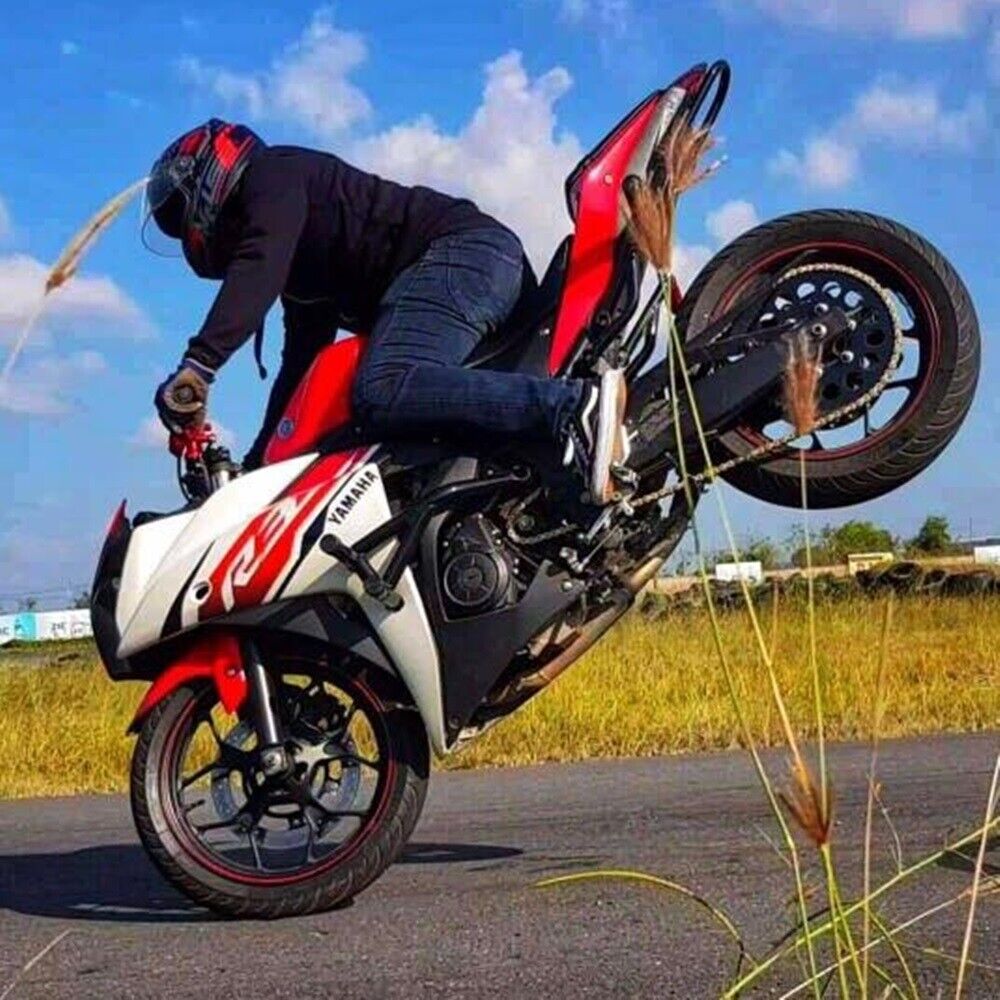 Yamaha R3/R25, MT03/MT25 Tail Round bar For Stunt Parts Black Motorcycle Parts