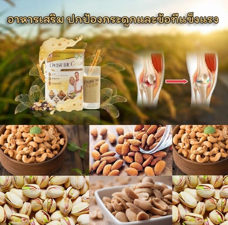 6x Ovisure Gold Grain Milk supplement elderly Nourish joins bones Plant Protein