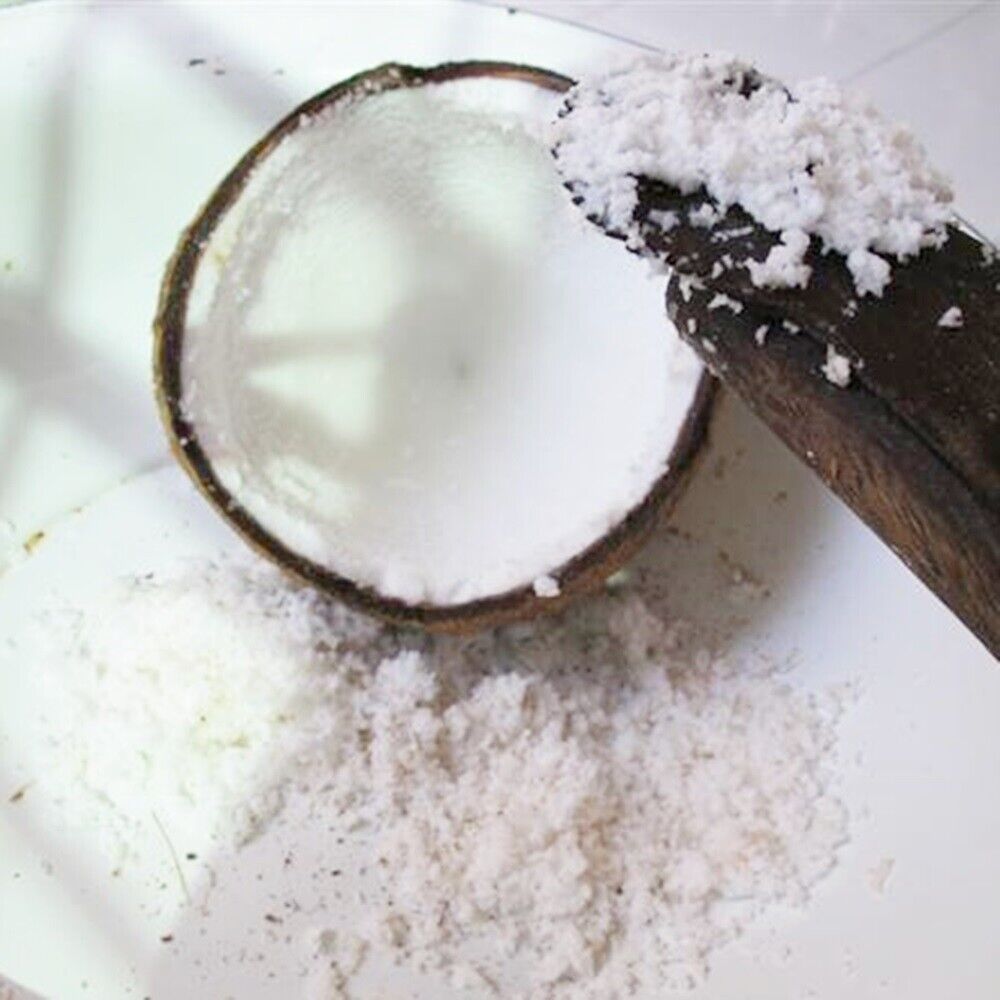 12 pcs Coconut Grater Thai Hand Scraper Shredder Kitchen Tools Food Stainless