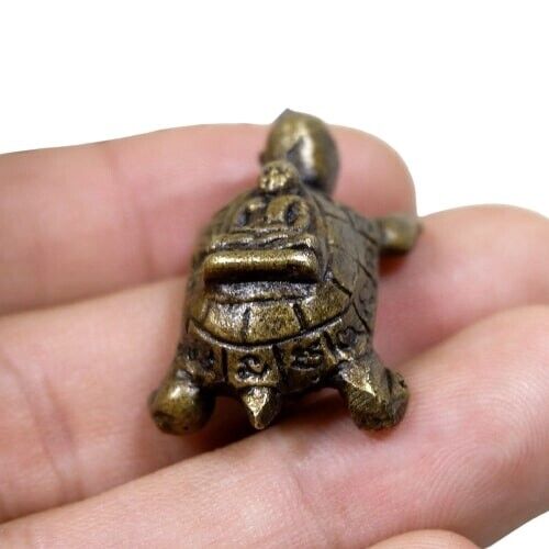 12xThai Amulet Power Magic Turtle Phra LP. Ngern Wealth Talisman Fetish Statue