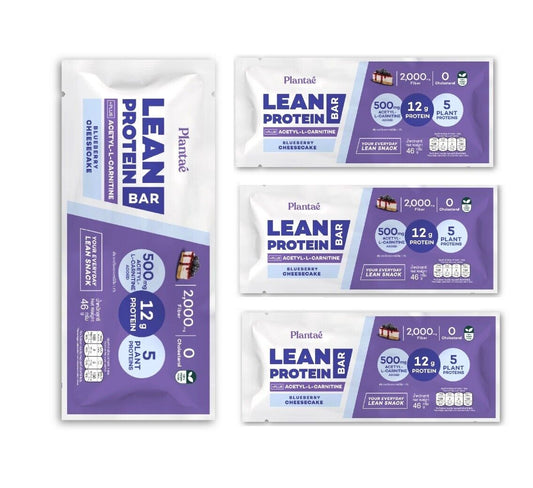 7x Plantae Lean Protein Bar Plant Protein Blueberry Cheesecake Flavor Snack Bar