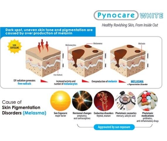 Mega We Care PYNOCARE WHITE French Pine Bark Extract Vitamin C E Skin care