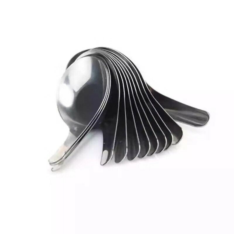 ZEBRA Soup Spoon Thai Chinese Stainless Steel Food Dessert Kitchen Reg./ Small