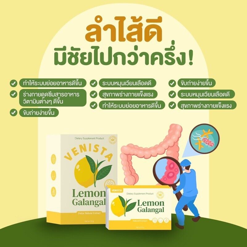 10x Venista Lemon Galangal Clean Help Excretion Hunger Control Diet Supplement