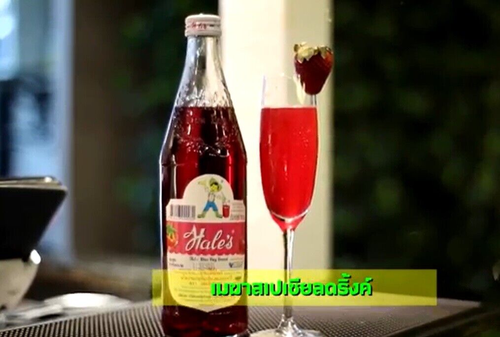 Nectar Concentrated Artificial SALA Flavored Syrup Beverage Party Drink Fresh