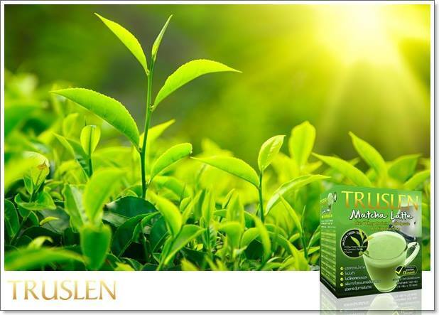 10x Truslen Matcha Latte green Tea Burn Fat Slimming Weight Control Sugar Free