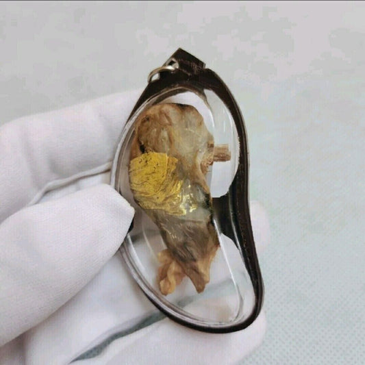 Amulet Cat Placenta Wealth Thai Mercy Magic Power Gambling Money Lucky Occult C5
