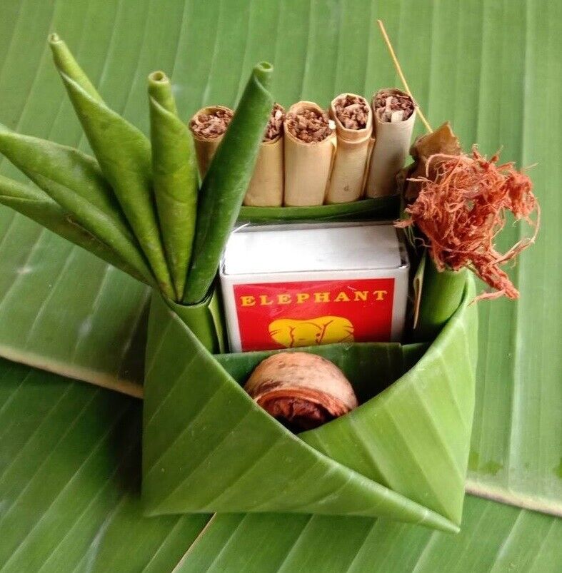 10 Roll Dry Banana Leaves Natural Cigarette Paper Rolling Tobacco Thai Vintage