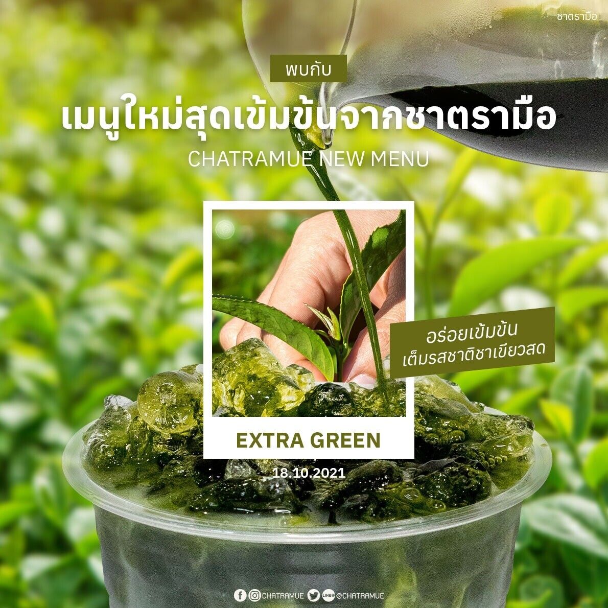 12x 180g. Chatramue Extra Green Green Tea Concentrate Beverage Thai Restaurant