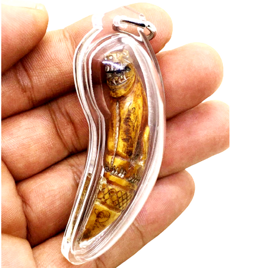 Lp Nok Tiger Takrut pig tooth Magic talisman amulet power luck protection Rare