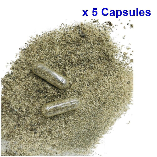 5 Caps Fish Food Betta Live MOINA MACROCOPA CYSTS EGGS Natural Feed Discus Guppy