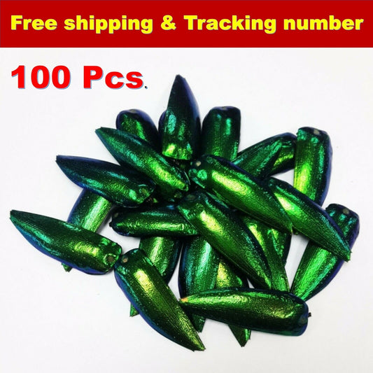 100 Pcs Jewel Beetle Wings Elytra Natural Jewelry Craft Real Green Design Insect