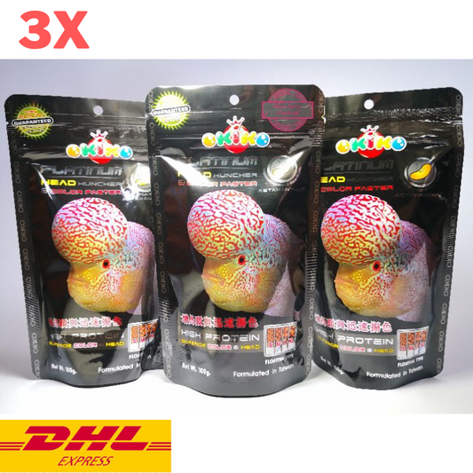 3x Okiko Platinum Cichlid Flowerhorn Fish Food Floating Pellet Head Huncher 100g