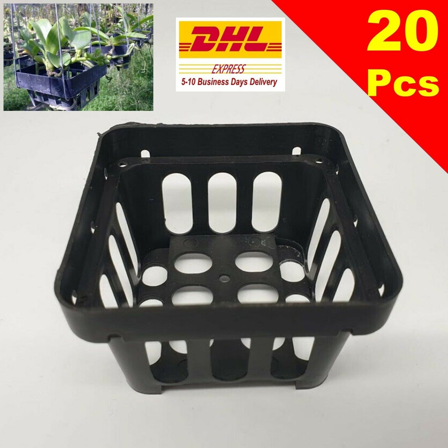 20 x Baskets Orchid Vanda Flower Pots Bonsai Plastic Garden Outdoor 3" DHL