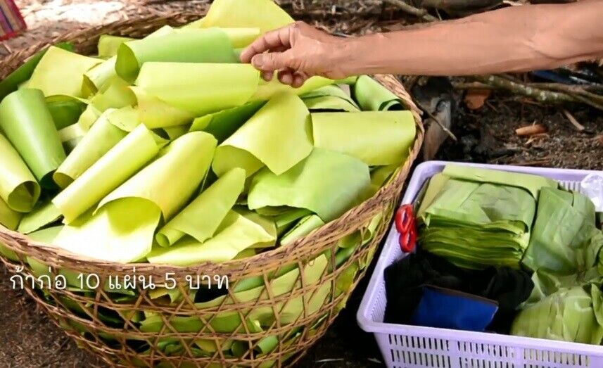 10 Roll Dry Banana Leaves Natural Cigarette Paper Rolling Tobacco Thai Vintage