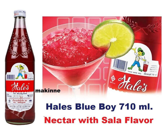 Nectar Concentrated Artificial SALA Flavored Syrup Beverage Party Drink Fresh