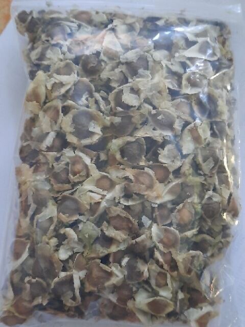 1000g Seed Organic Dried Moringa Oleifera Seeds Herbal Natural Health Skin Hair