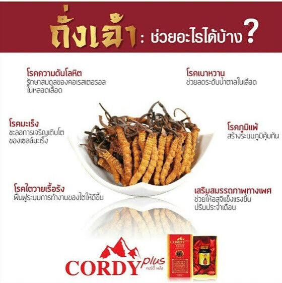 Cordy Plus Sexual Performance Improve Immune System Brain Relieve Stress Healthy