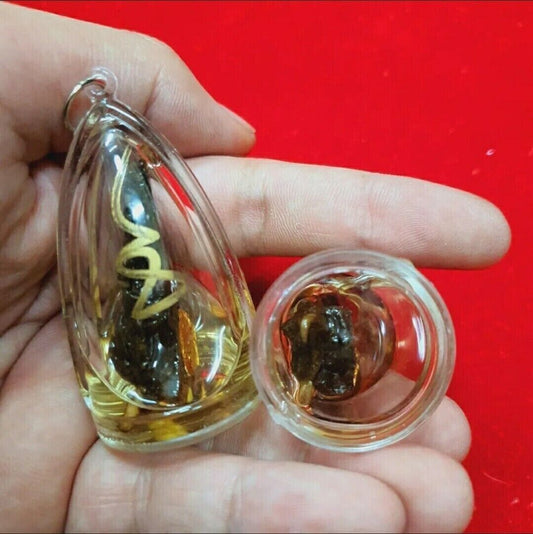 Snake Thai Boa Amulet Spur Gambling Talisman Lucky Pendant Rich Oil Wealth