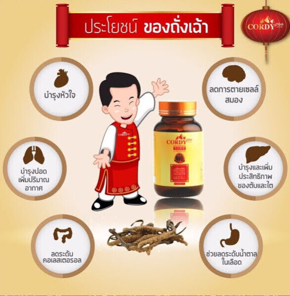 Cordy Plus Sexual Performance Improve Immune System Brain Relieve Stress Healthy
