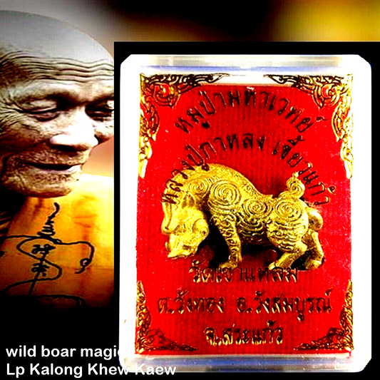 Magical Wild Boar, Lp Kalong, Kheaw Kaew, Khao Laem Temple,talisman thai amulet