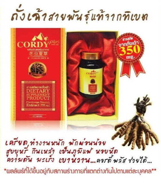 Cordy Plus Sexual Performance Improve Immune System Brain Relieve Stress Healthy