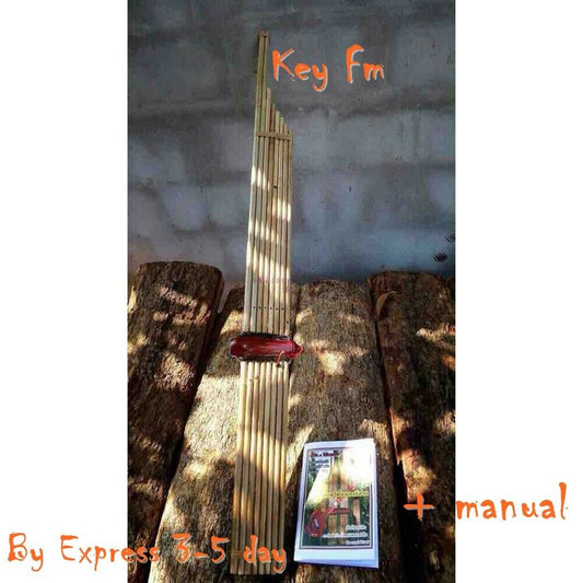 Mor Lam Khaen Bamboo Double Silver Tongue Mouthorgan Musical Instrument Pupil Fm