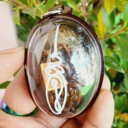 Thai Amulet Magic Placenta Occult Cats Talisman Wealth Pendant Lucky Fortune