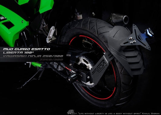 Kawasaki Ninja 300/250 Z300/250 Rear Splash Guard/Mud Guard "Esatto" by Leon