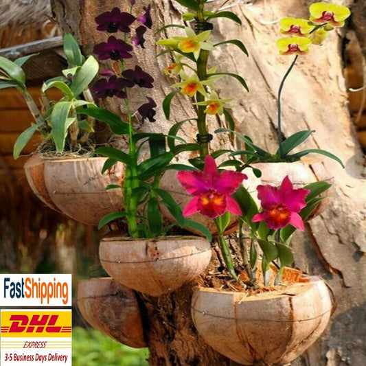 Coconut Husk Shell Hanging Orchid Basket Pot Hooks Plant Planter Hangers Pots