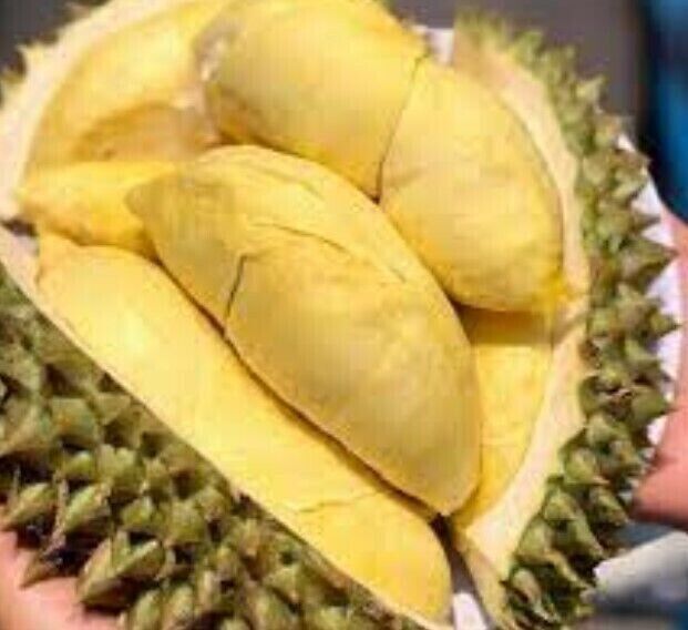 100g Monthong Durian Paste Thai King Fruit Premium Delicious Snack Food x 10