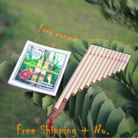 Wote Panel Traditional Musical instrument Pan Flute Bamboo Isan Panpipe Handmade