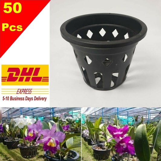 50x4" Plastic Pot Baskets Orchid Flower Floral Garden Home Plants Outdoor Thai