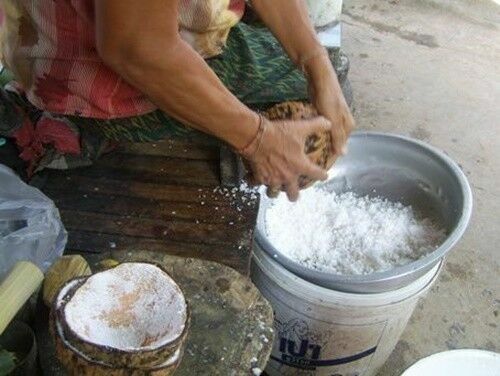 Ancient Coconut Grater Shredder Wood Scraper Thai Food Oil Portable Grinder DHL