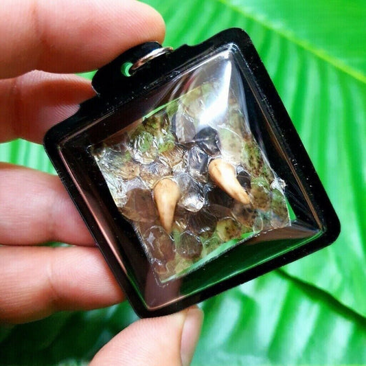 Python Spur Powerful Success Rich Gambling Superb thai Amulet Great Fortune