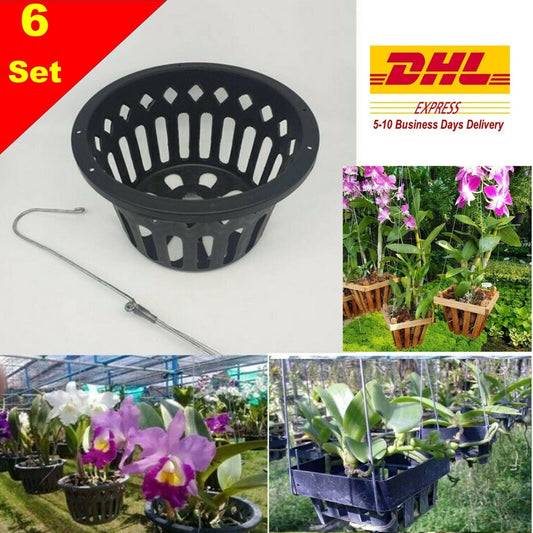 6x6" Plastic Pots Hangers Basket Orchid Flower Hanging Thai Baskets Hanger DHL