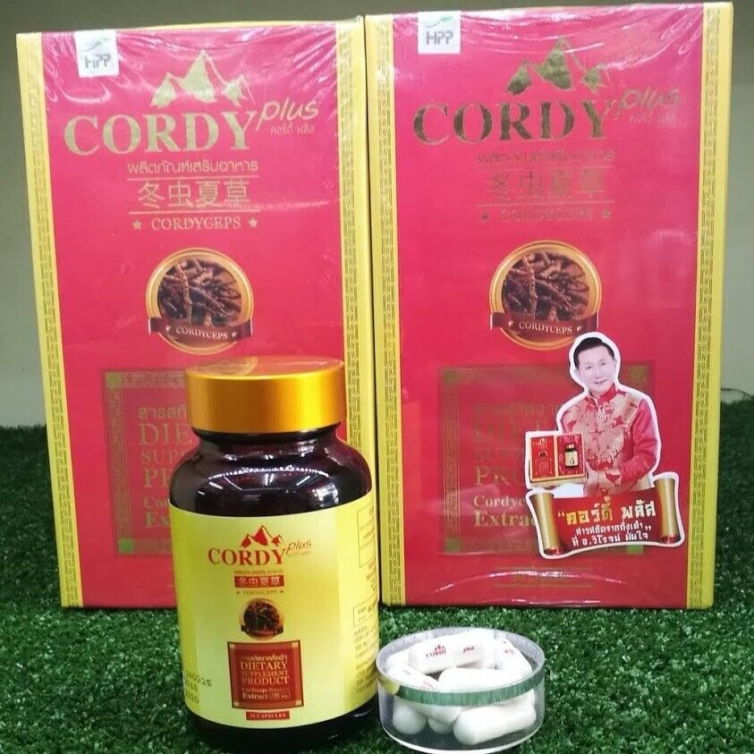 Cordy Plus Sexual Performance Improve Immune System Brain Relieve Stress Healthy