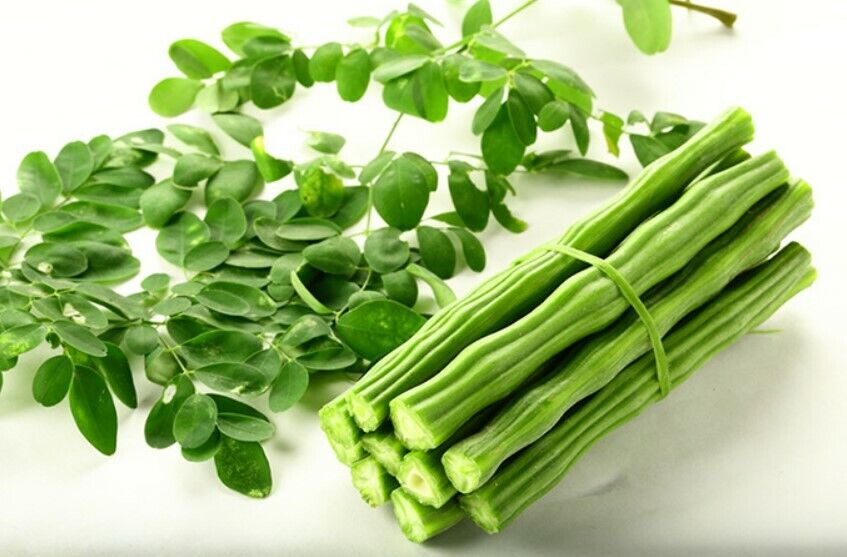 1000g Seed Organic Dried Moringa Oleifera Seeds Herbal Natural Health Skin Hair