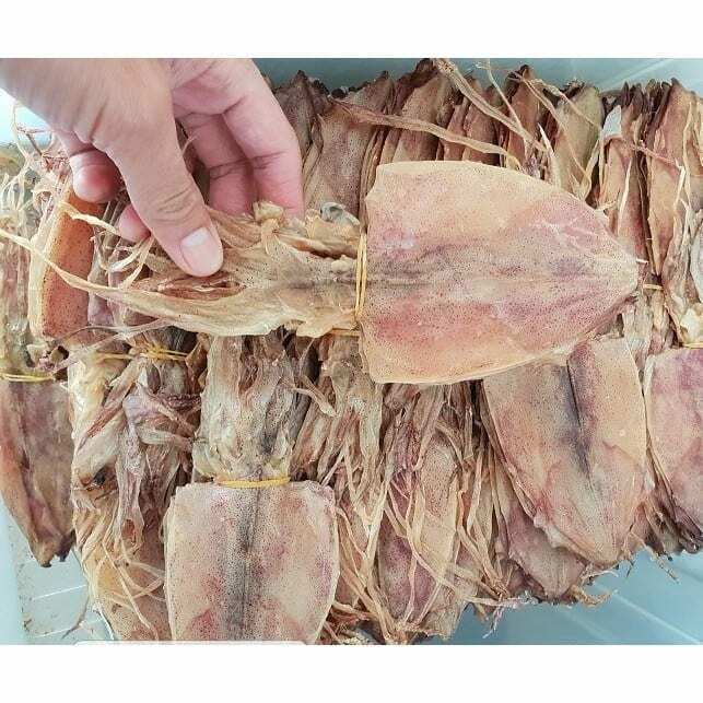 1000g x Dried Whole Medium Squid Thai Seafood Clean Fresh Snack 4in