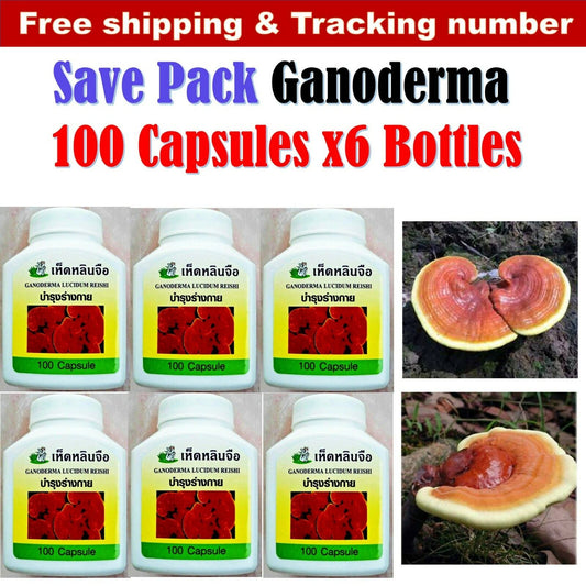 6 x Lingzhi Reishi Ganoderma Lucidum Super Food Body Healthy (600Cappsules)