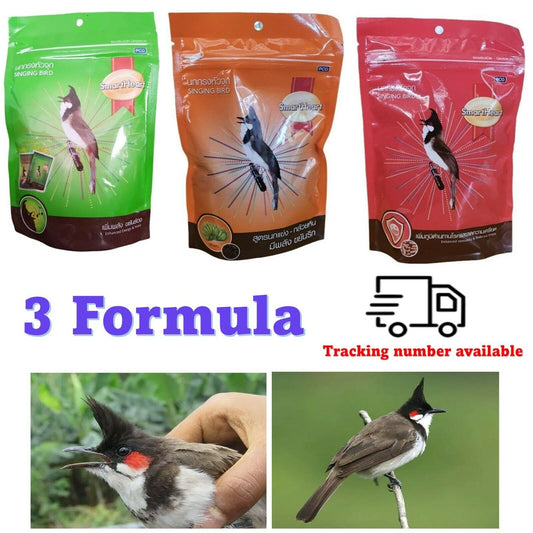 3x Smart Heart Red Whiskered Bulbul Food Racing Bird Singing Diligent Energy