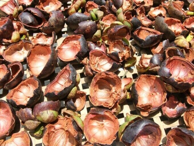 1000g Mangosteen Peel Powder Herbal Thai Organic Tea Great Reduce body Heat